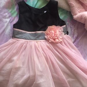 Sweet Heart Rose Dress: Worn Once